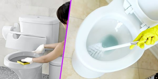 Limpando vaso sanitário