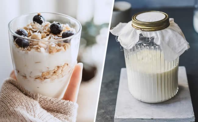 Iogurte grego dentro de um pote e 1 copo com frutas, mirtilos e iogurte.